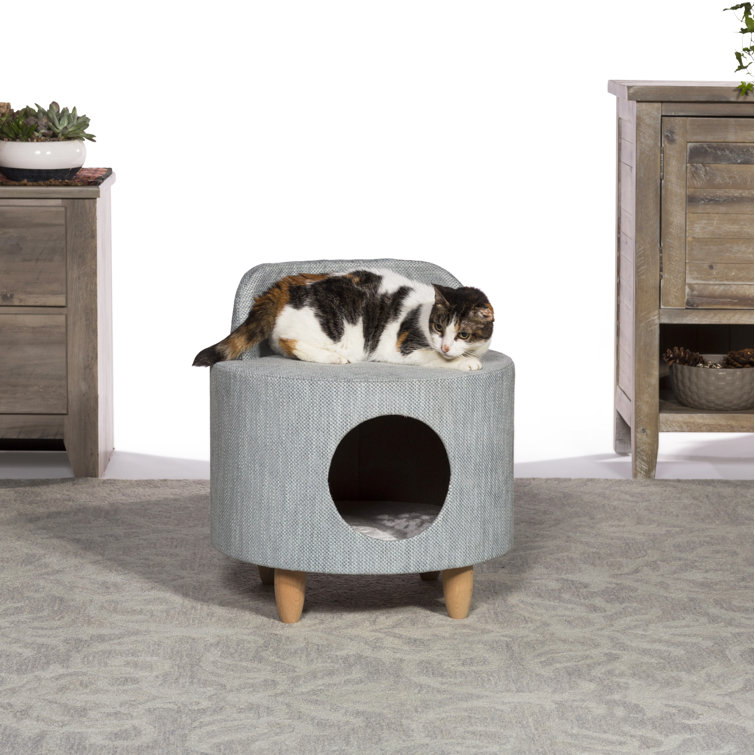 hollywood kitty condo