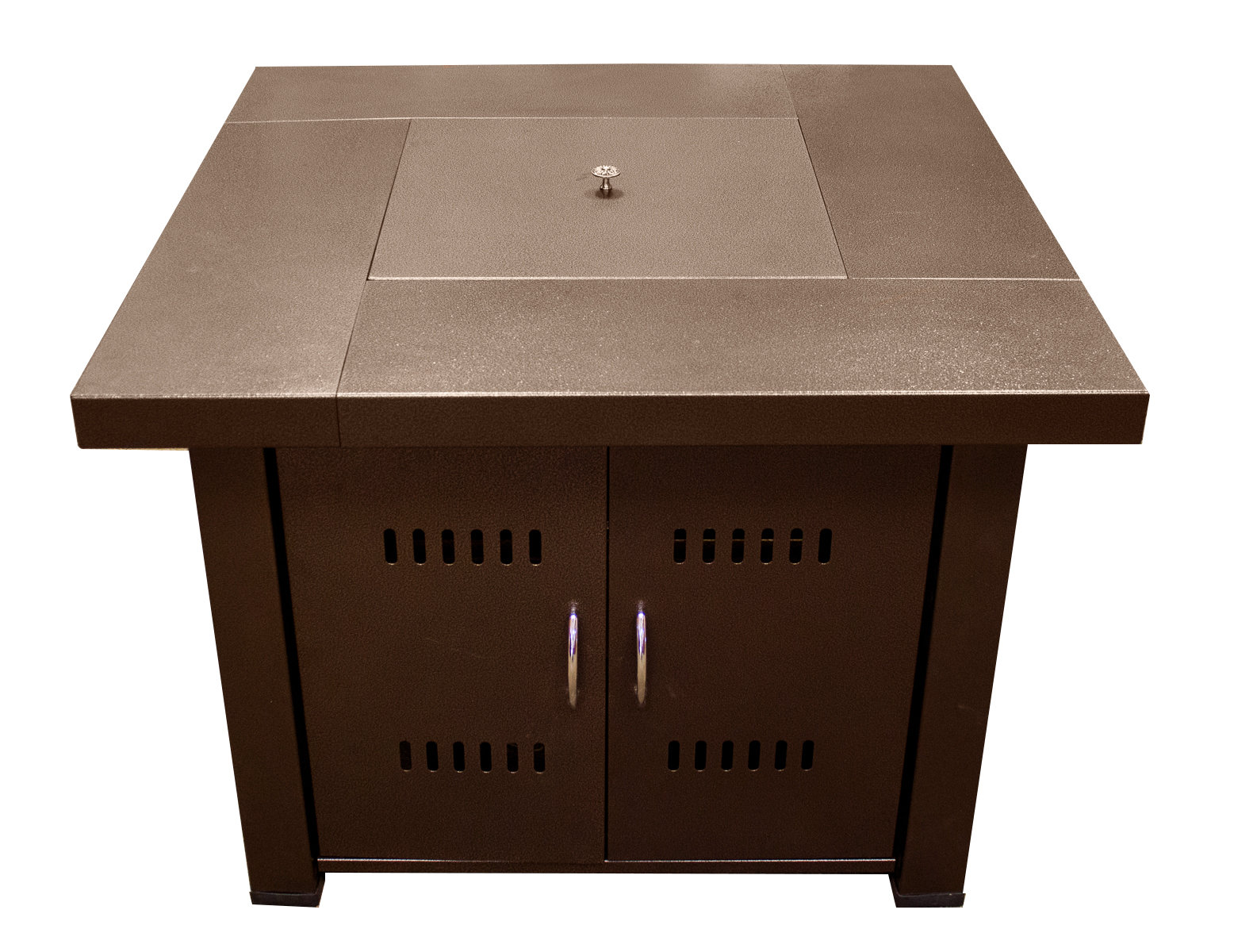 Snowberry Stainless Steel Propane Natural Gas Fire Pit Table