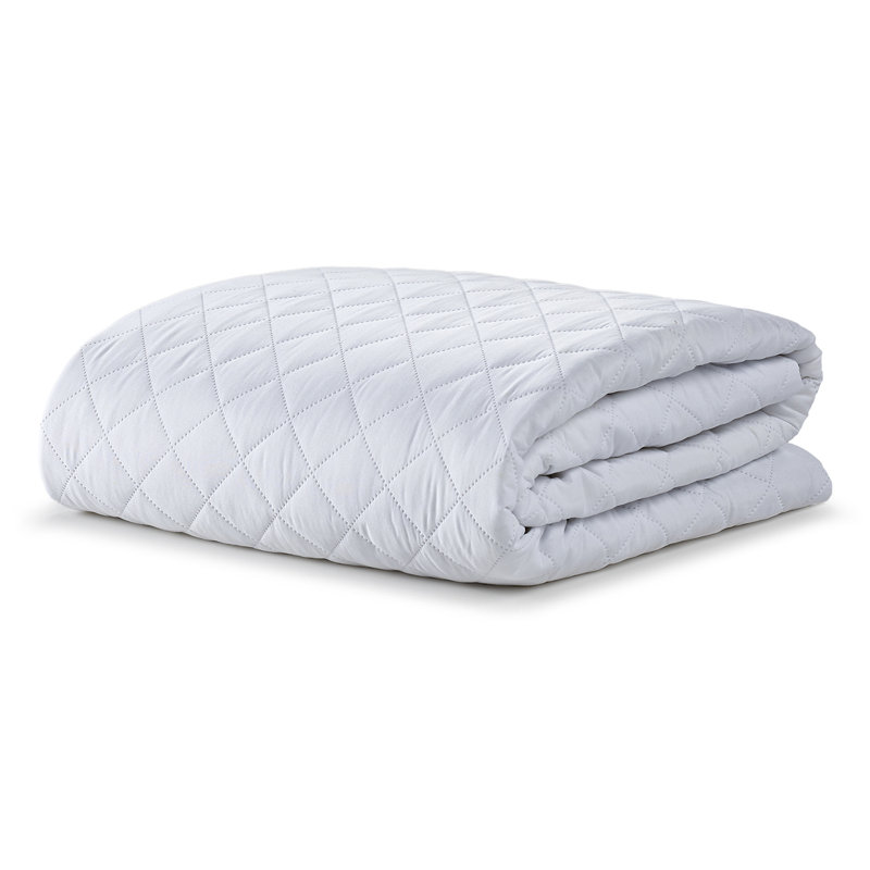 Mona Waterproof & Hypoallergenic Mattress Protector Size: Queen