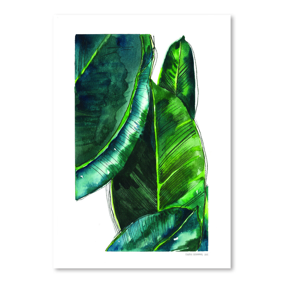 Bay Isle Home Banana Leaves Poster Gallery Painting Print Wayfair