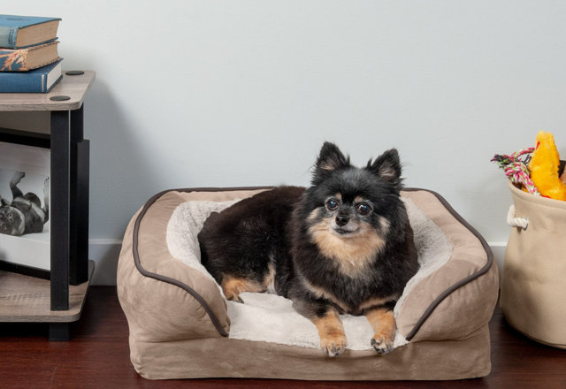 Dog Beds They'll Love