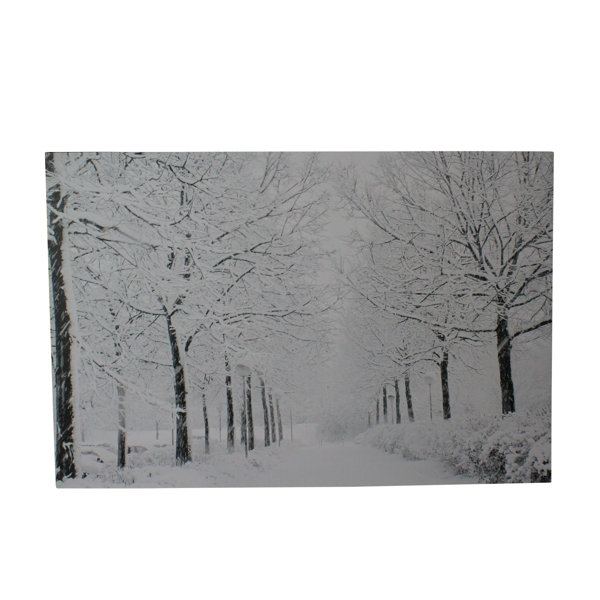 Winter Lane Wayfair