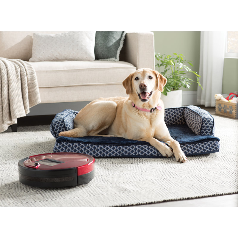 robot vacuum pet hair carpet