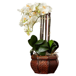 Phalaenopsis Silk Flower Arrangement in Decorative Vase