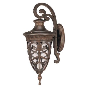 Dunamoy 1-Light Outdoor Wall Lantern