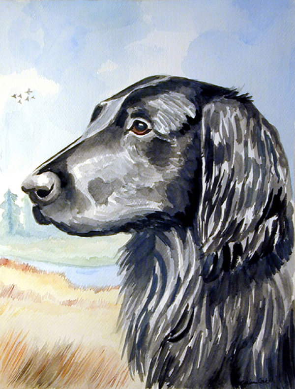 Caroline S Treasures Flat Coated Retriever Polyester 40 X 28 In