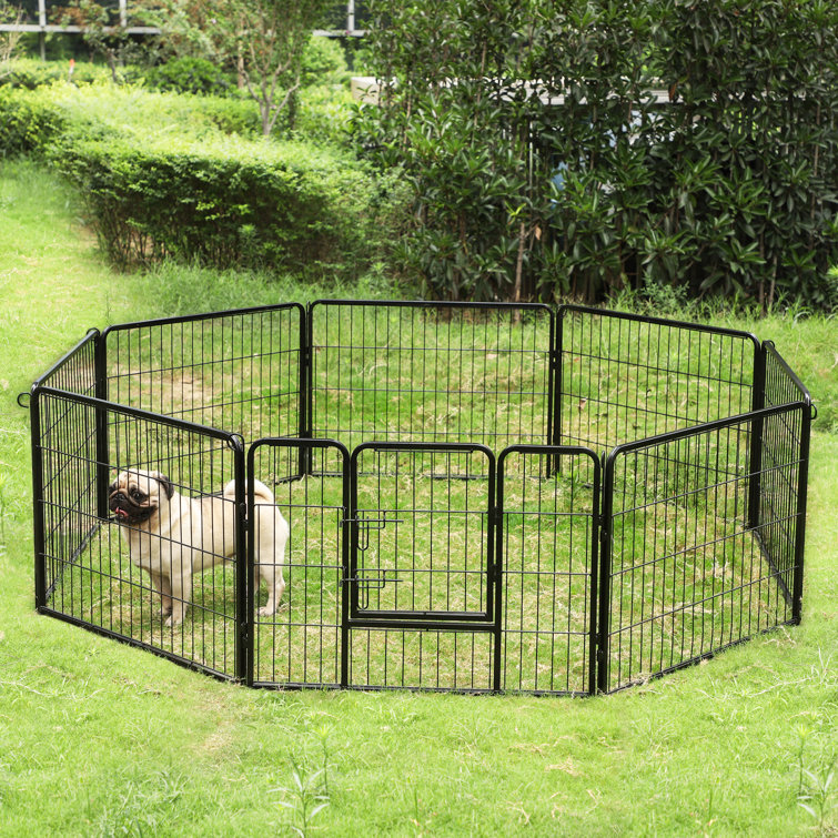 yard pen for dogs