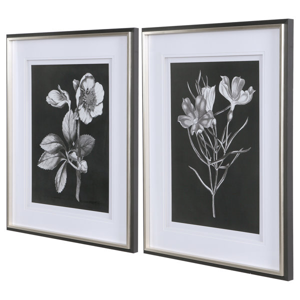 Mercer41 Black And White Flowers 2 Piece Framed Graphic Art Set