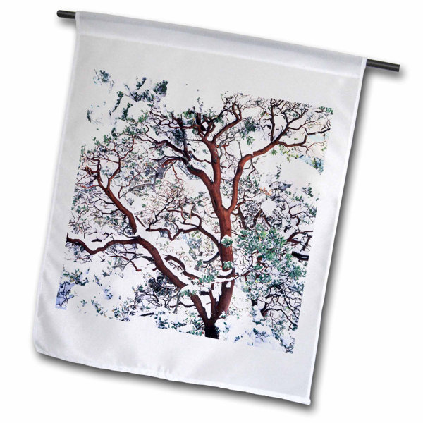 3drose Snow On Manzanita Bush Cleveland National Forest California Usa Polyester 18 X 12 In House Flag Wayfair