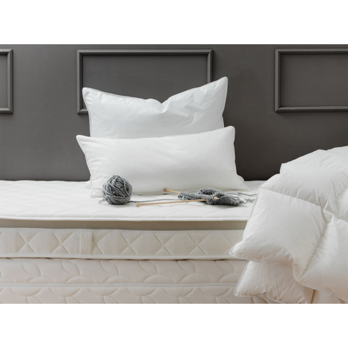 Die Zudecke Canadian Goose Down Pillow Wayfair Co Uk