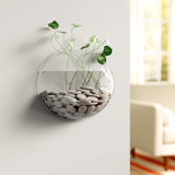 Fish Tanks Aquariums For Sale That You Ll Love In 2020 Wayfair