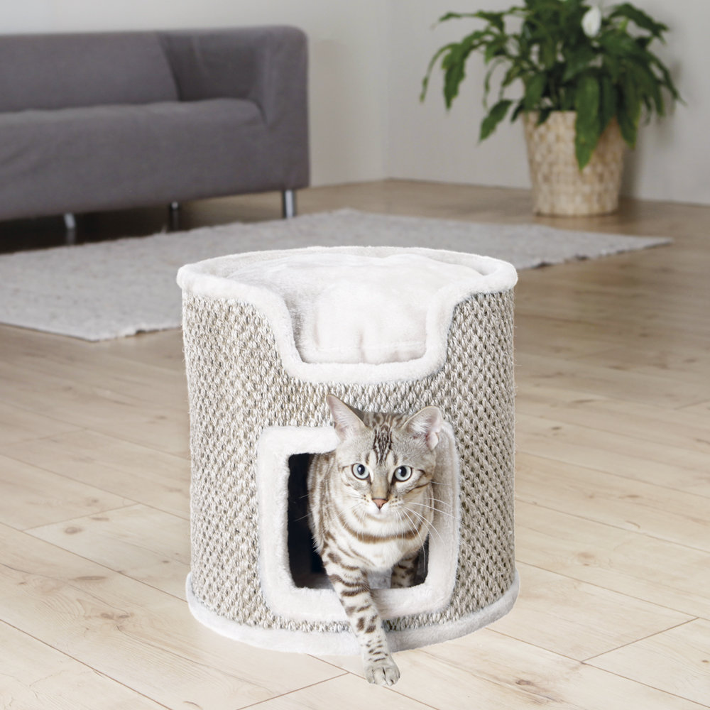 Archie & Oscar™ 15" Gladstone Cat Condo & Reviews Wayfair