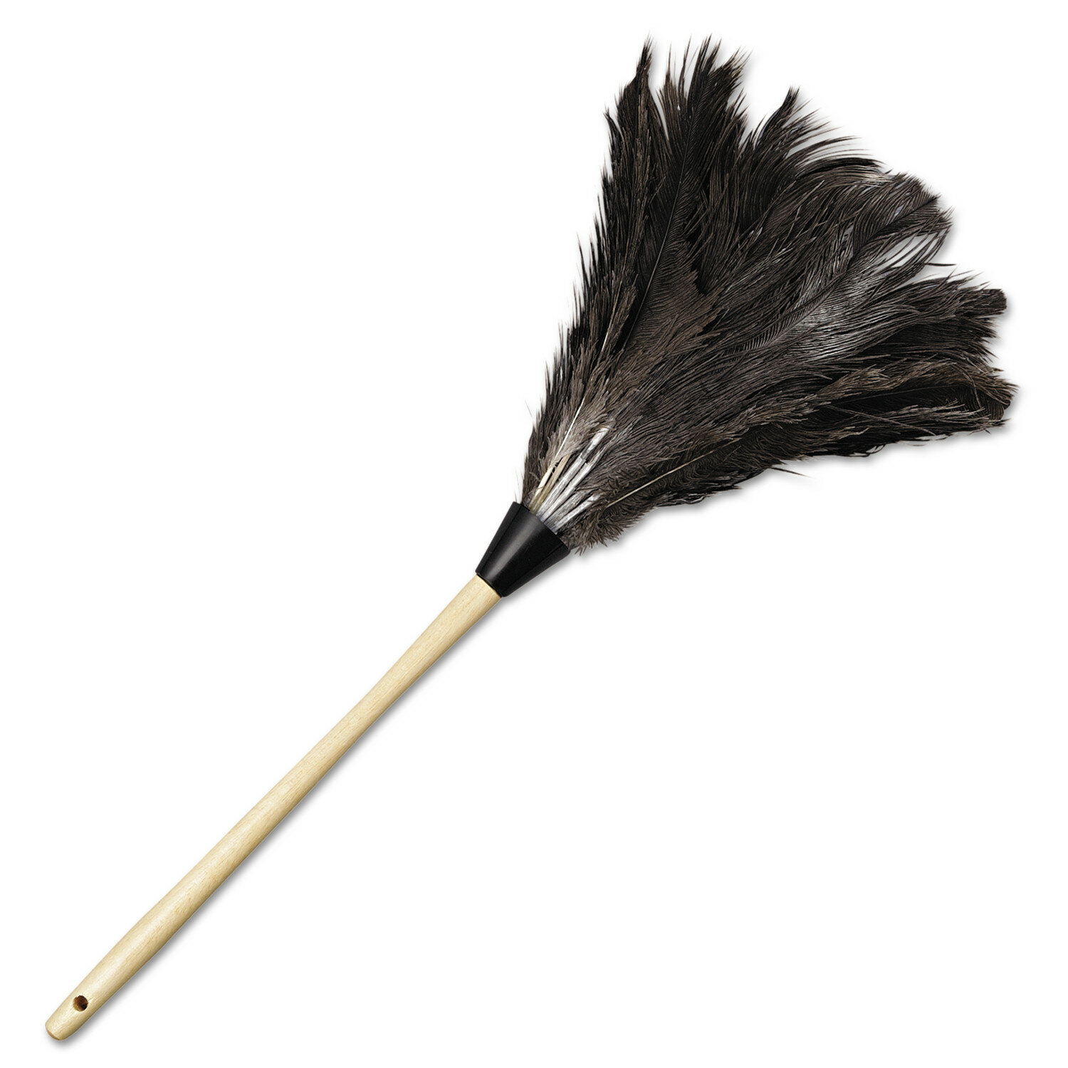 flylady feather duster