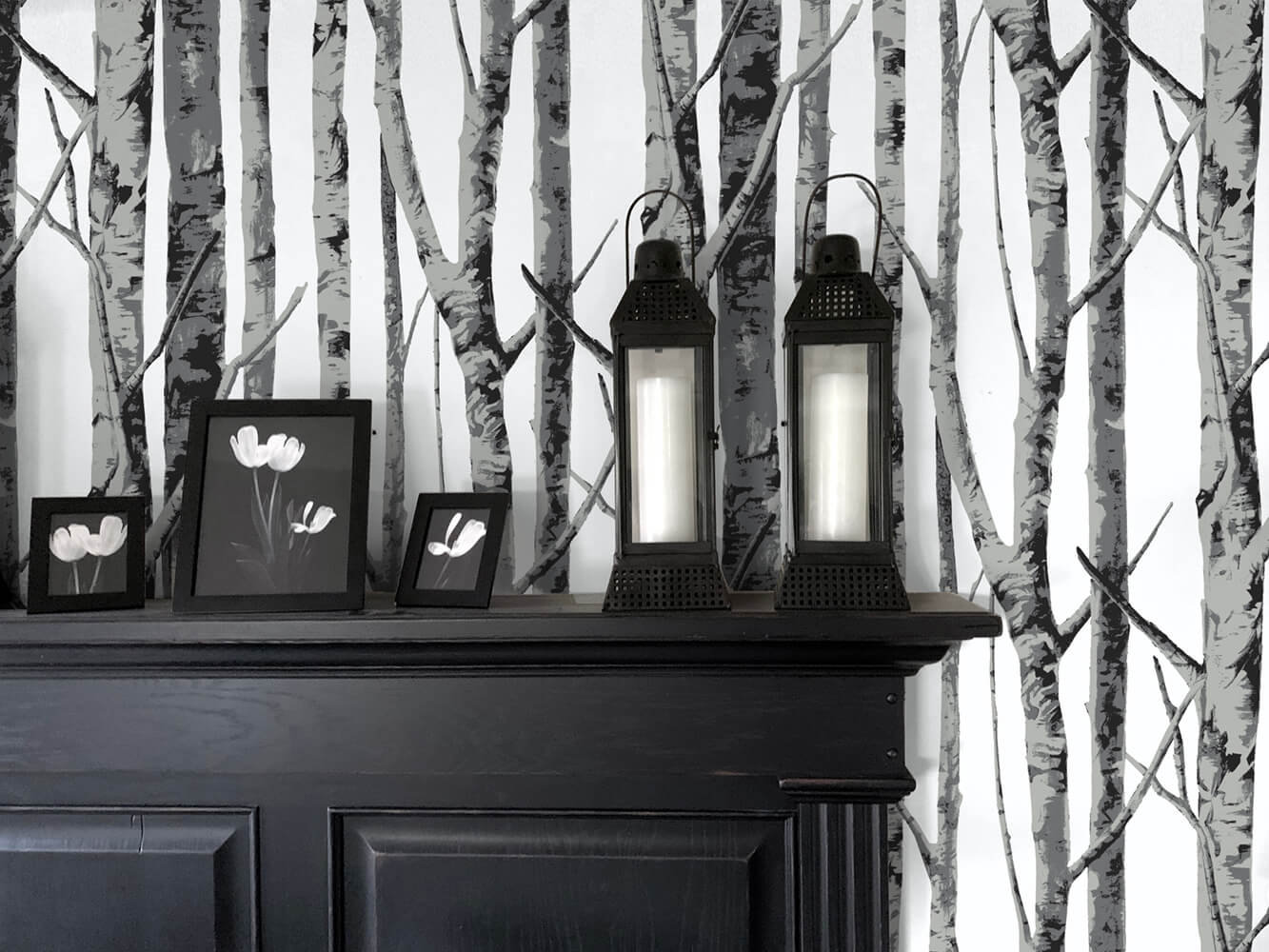 Birch White Trees Forest Winter Wallpaper Roll Woodland 24in x 27ft