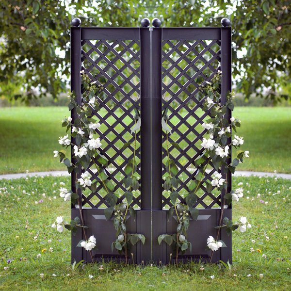 Sol 72 Outdoor Auburndale Plastic Trellis & Reviews | Wayfair.co.uk