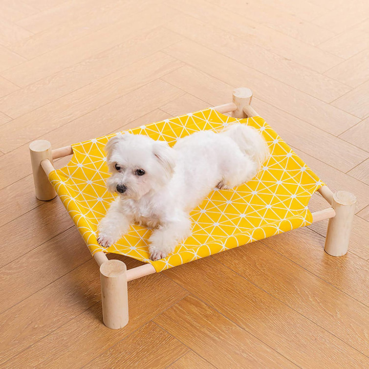 small dog hammock