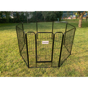 metal play yard for dogs