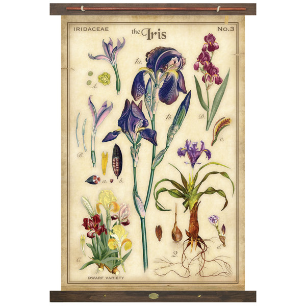 Iris Tapestry Wayfair