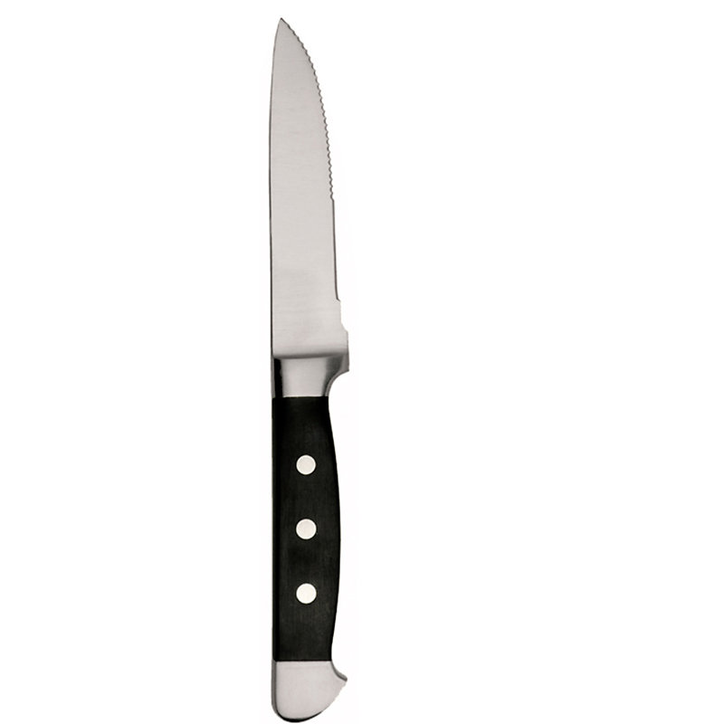Fortessa Vaquero 6 Piece Steak Knife Set Wayfair
