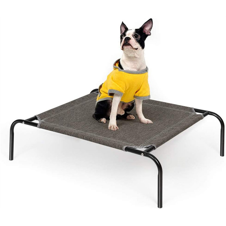 dog travel cot