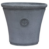 Happy Planter Wayfair