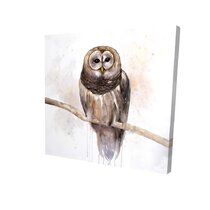 "Owl You Need Is Love" 4.25" x 6" Mounted Print 
