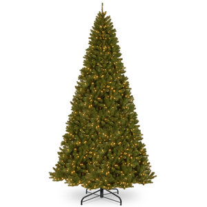 North Valley 12' Green Spruce Artificial Christmas Tree with 1200 Clear Lights with Stand
