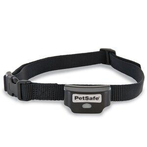 In-Ground Dog Collar