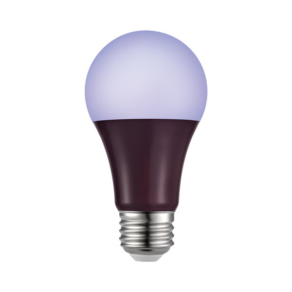 Globe Electric Company 3 Watt, A19 LED, Non-Dimmable Light ...