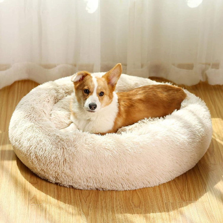 durable pet bed