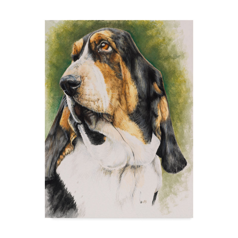 Trademark Art Basset Hound Oil Painting Print On Wrapped Canvas