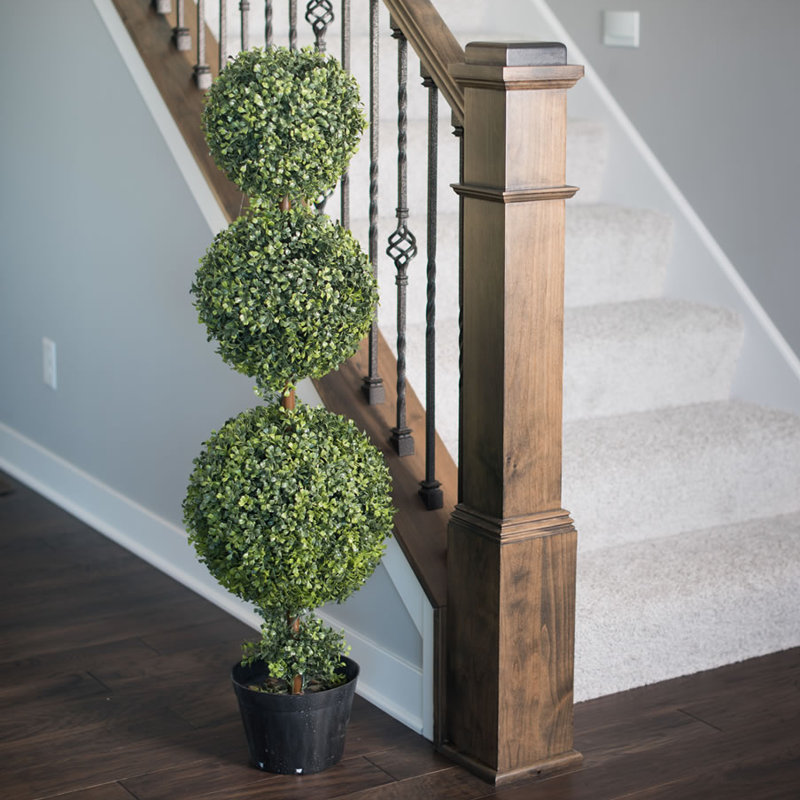 Triple Ball Boxwood Topiary In Pot Reviews Joss Main
