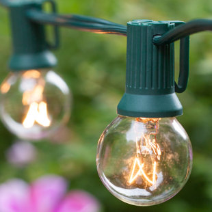 Tiki String Lights Wayfair 25 Light Globe String By Wintergreen Lighting