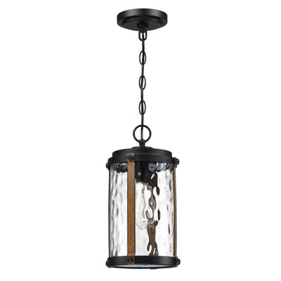 Lemoore Lovely 1-Light 14" H Outdoor Hanging Lantern Pendant With Matte Black And Barnwood Accents