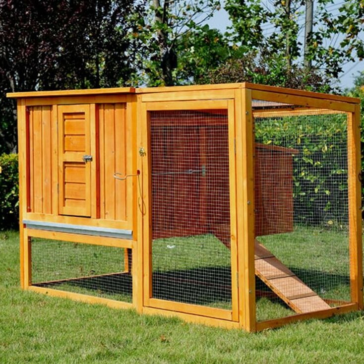 Bartholomew Chicken Coop With Nesting Box And Outdoor Run