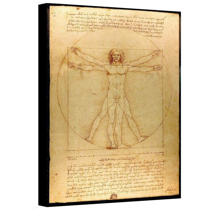 Vault W Artwork Vitruvian Man By Leonardo Da Vinci Painting Print On Canvas Reviews Wayfair