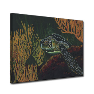Sea Turtle Wayfair