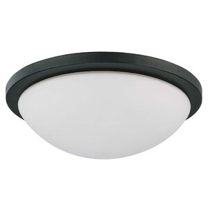 Karla Contemporary Energy Star Flush Mount