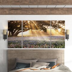 Glass Picture Toughened Wall Art Unique Sunrise Nature Green  Forest  Any Size 