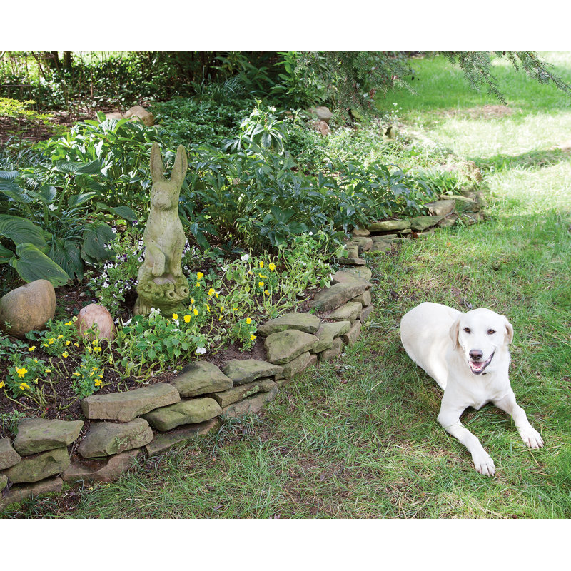 petsafe pawz away extra outdoor pet barrier