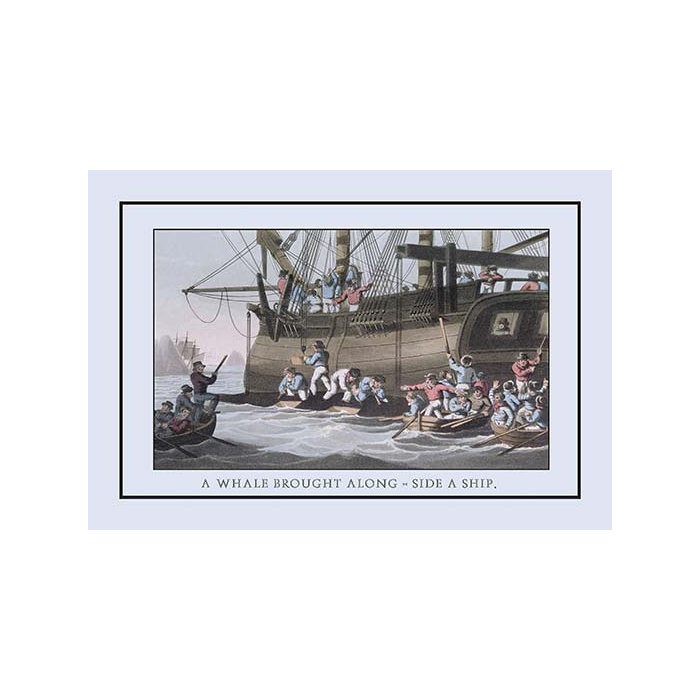 Buyenlarge A Whale Brought Along Side A Ship By J H Clark Framed