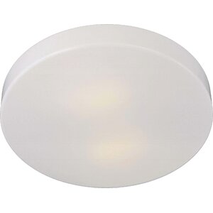 2-Light Flush Mount