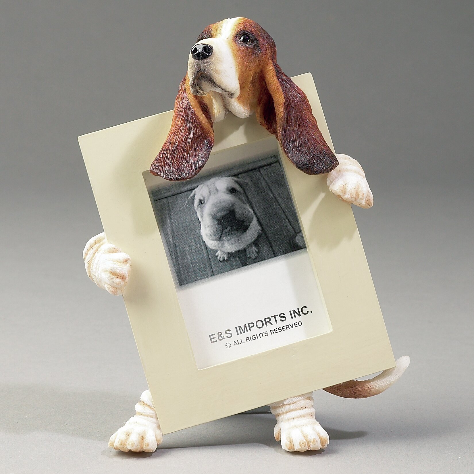 Espets Basset Hound Picture Frame Wayfair