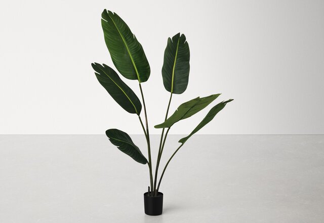 Buyer's Picks: Faux Plants