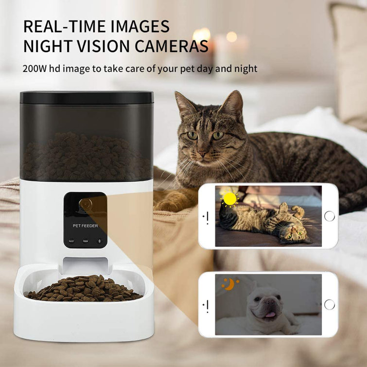 best cat feeder with camera
