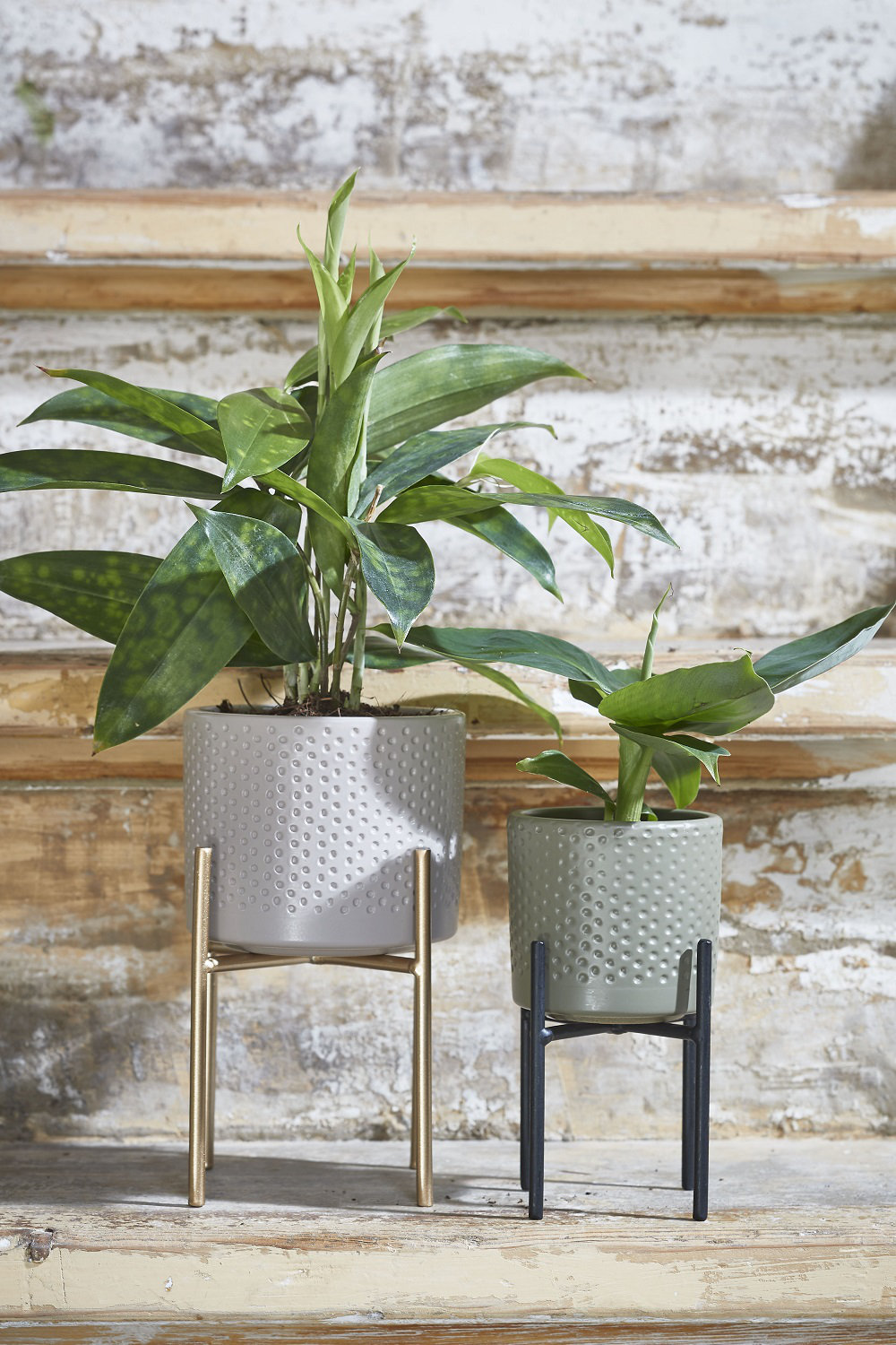 wayfair standing planter on 17 Stories Gilbert Plant Stand Wayfair