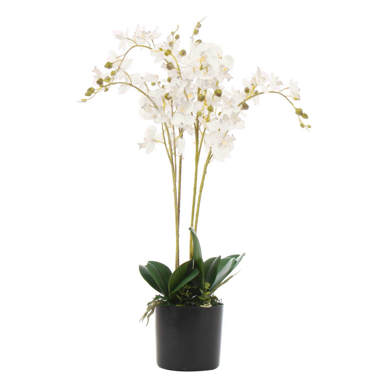 The Seasonal Aisle Orchids Floral Arrangement In Pot Wayfair Co Uk