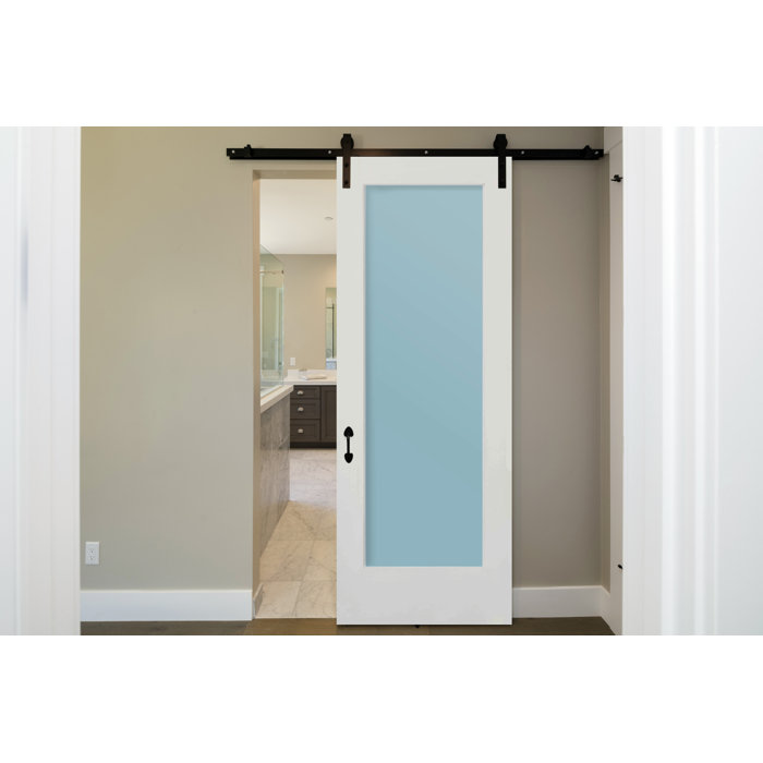 Satin Etch Glass One Lite Slab Door