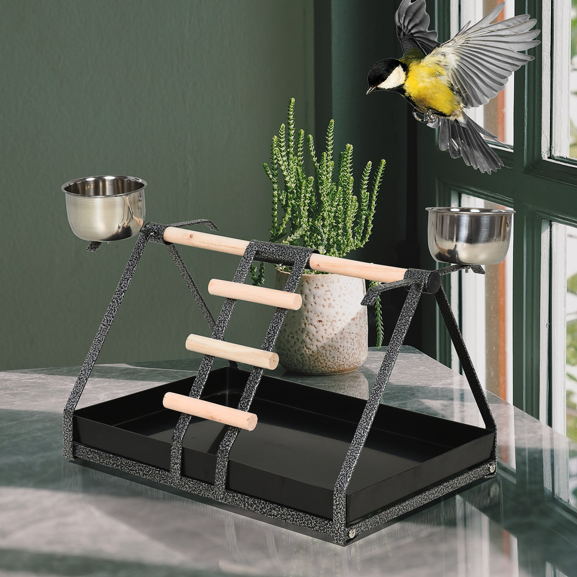 bird play stand