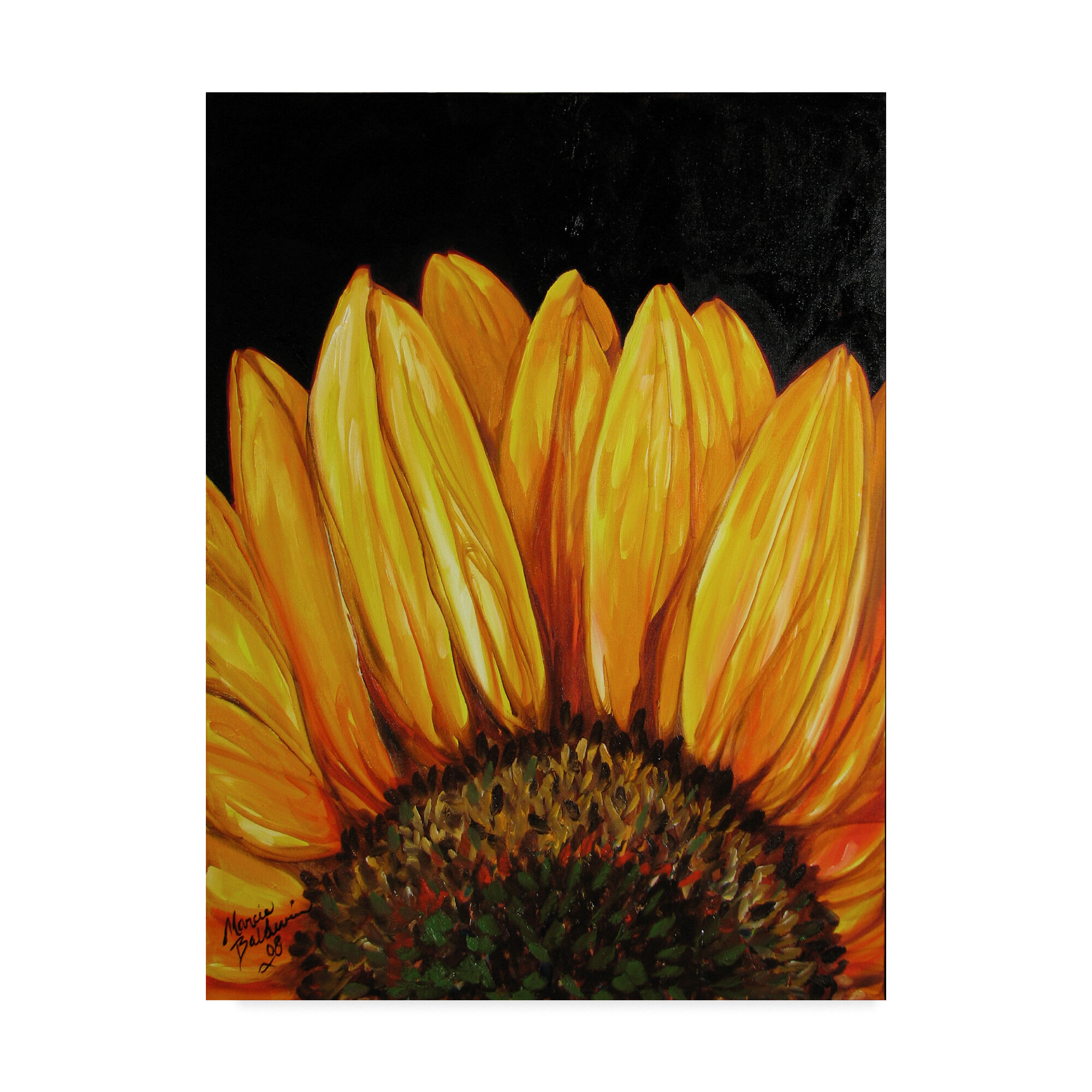 Trademark Art Marcia Baldwin Sunflower By Marcia Baldwin Print On Canvas Wayfair